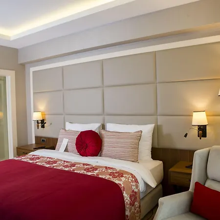 Ramada By Wyndham Sakarya 酒店 4*