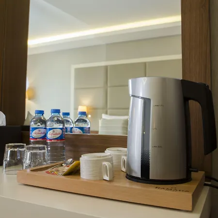Ramada By Wyndham Sakarya 酒店 4*